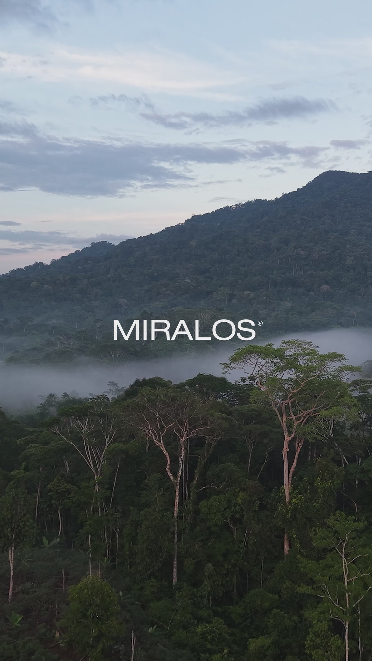 Cargar video: 